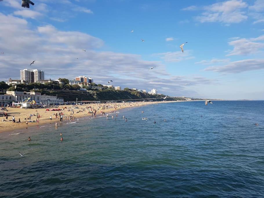 פרנדאון Cosy Bournemouth Bungalow מראה חיצוני תמונה